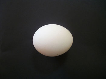 Egg Egg